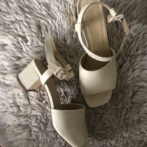 Everlane The Block Heel Sandal